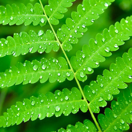 Details in nature photography workshop June 6th, 2026