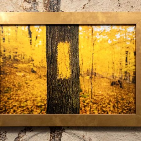 Framed print of the cover photo