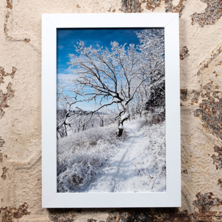 Springfield Hill Segment