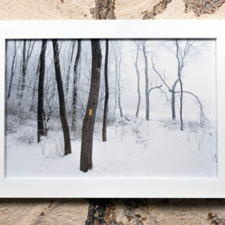 Cross Plains Segment