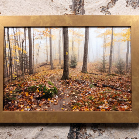 Ice Age Trail art print