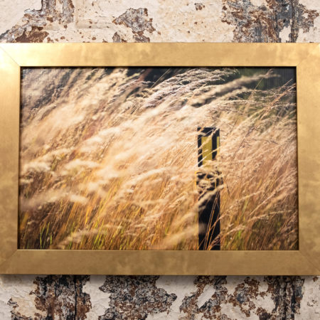 Merrimac Segment photo