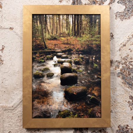 Plover River Segment photograph