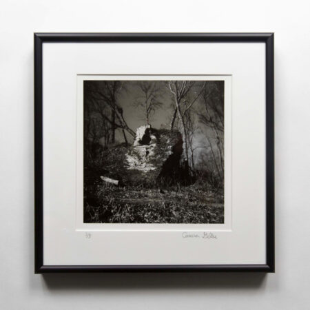 Cross Plains Segment of the Ice Age Trail