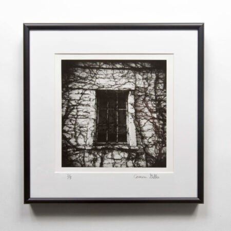 UW School of Agriculture Barn darkroom print