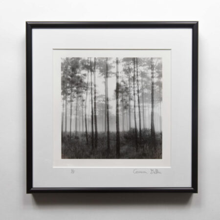 "Dawn" pinhole darkroom print