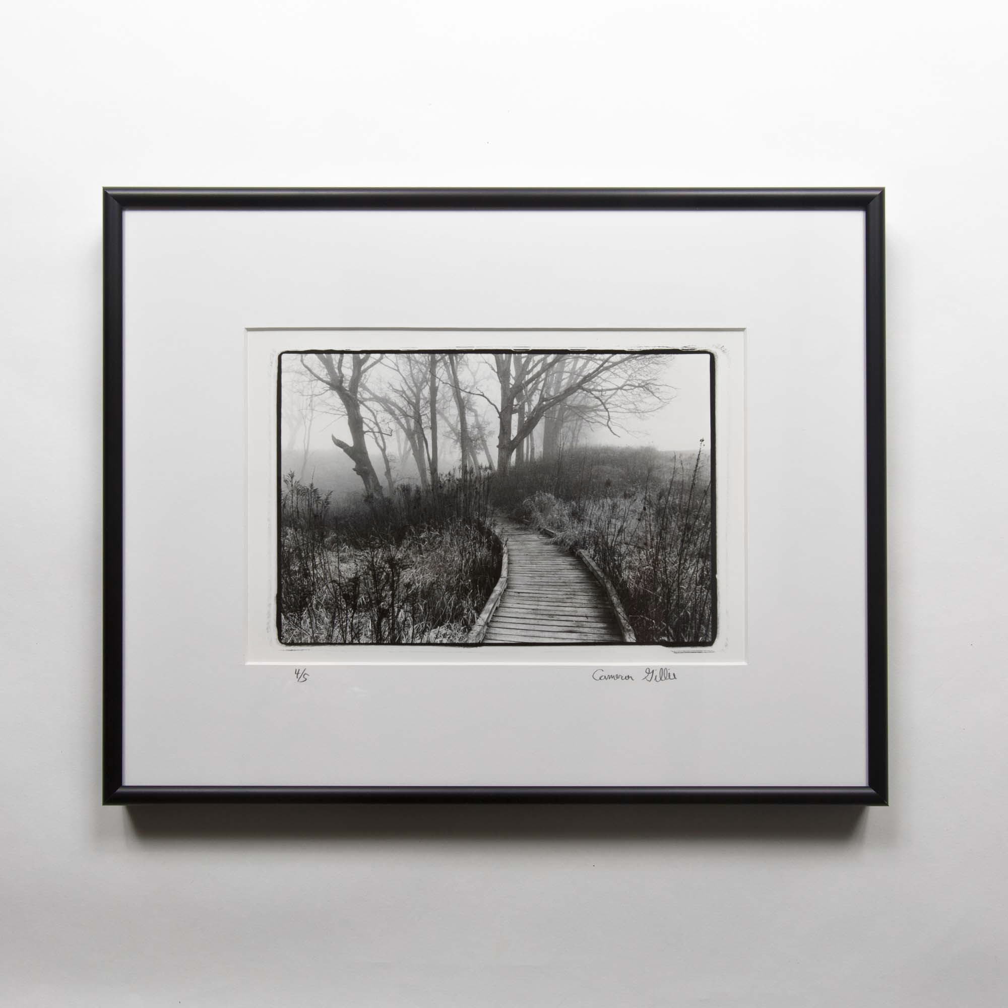 Ice Age Trail Wilke Gorge darkroom print