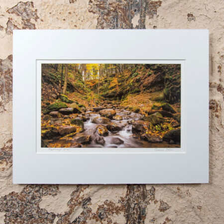 Parfrey's Glen matted print