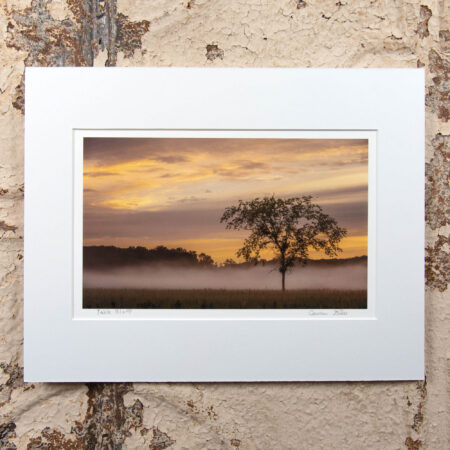 the table bluff segment of the ice age trail