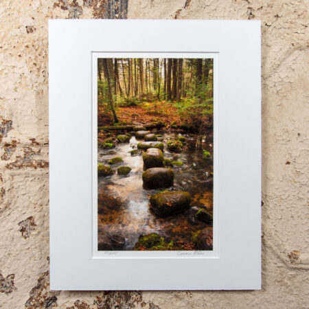 The plover river segment of the ice age trail