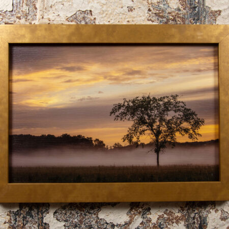 table bluff segment of the ice age trail