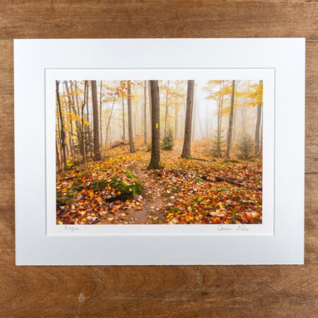 the ringle segment of the ice age trail