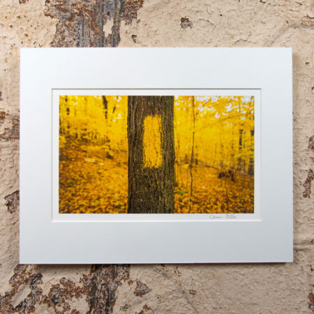 Ice Age Trail yellow blaze