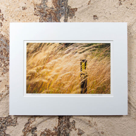 merrimac segment of the ice age trail