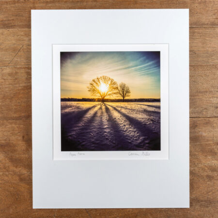 pope farm conservancy in middleton wisconsin