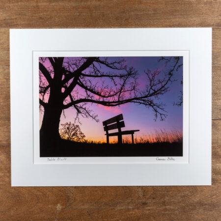 Photograph of the Table Bluff Segment of the Ice Age Trail
