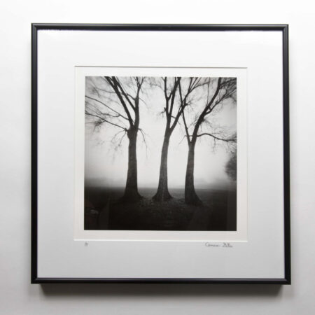 "Three Sisters" pinhole darkroom print