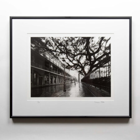 Jackson Square pinhole darkroom print